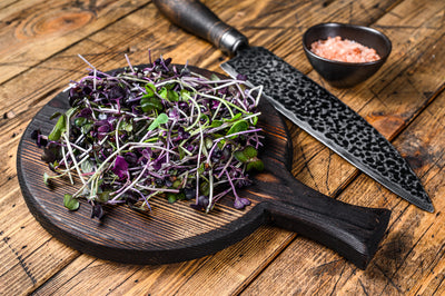 The Art of Using Radish Microgreens: Recipes, Tips, and Health Benefits